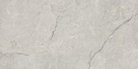 60x120 Kronos Silver гранит керамический